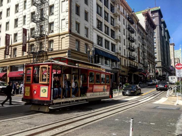 12226997_10209072834768425_3295844482779969749_n