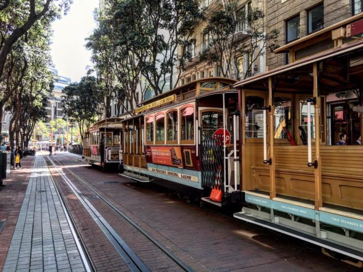 12734167_10209072835328439_2496152910350159422_n