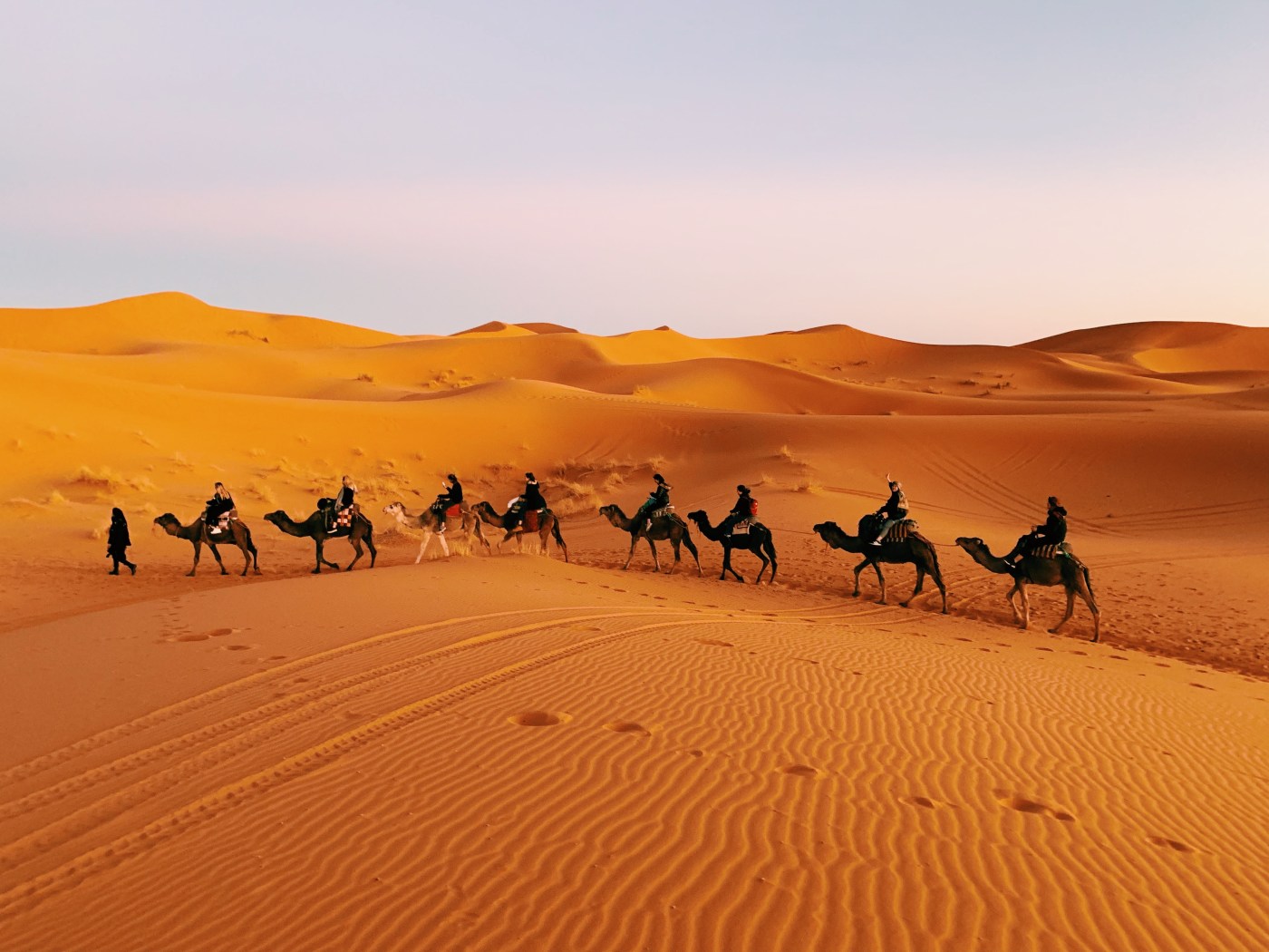 Desierto Sahara Feb. 2020