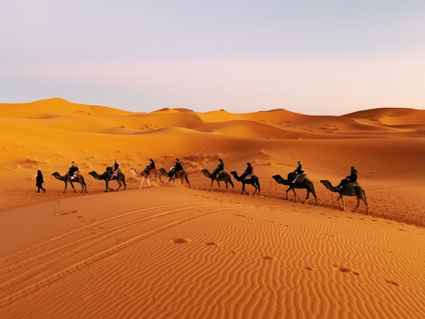 Desierto Sahara Feb. 2020